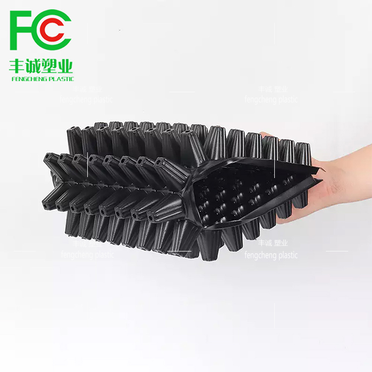 Brand new black seedling tray for flowers, succulent vegetables, melons, and fruits