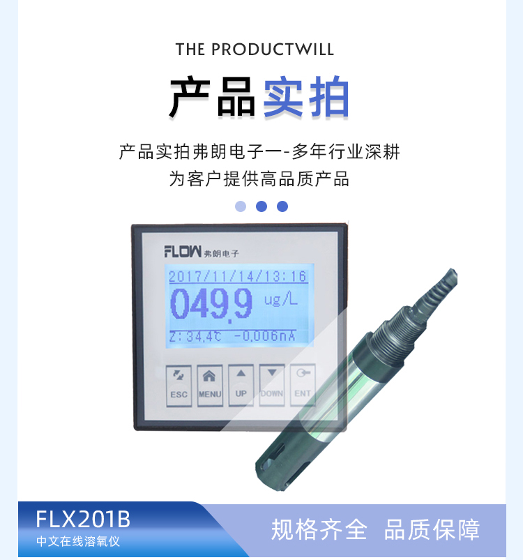 DO water oxygen detection dissolved oxygen Chinese online dissolved oxygen instrument FLX201B measuring instrument for fish pond aquaculture