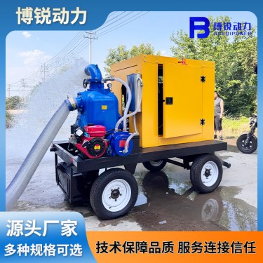 无堵塞柴油自吸泵,产品介绍