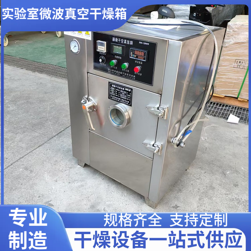 定制 小型真空微波干燥箱 防爆设计 院校专供干燥设备