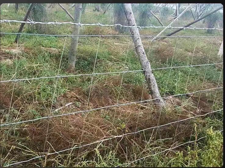 Grassland fence, steel wire fence, woven net fence, pastoral protection net