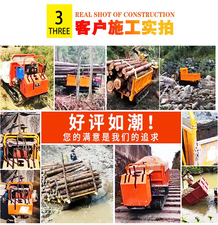 Mountain crawler transporter small agricultural mountain climber Cart