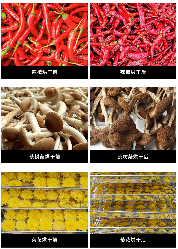 Guoxin Papaya Dryer Air Energy Sweet Potato Dehydration and Drying Equipment Manufacturer Intelligent Temperature and Humidity Control