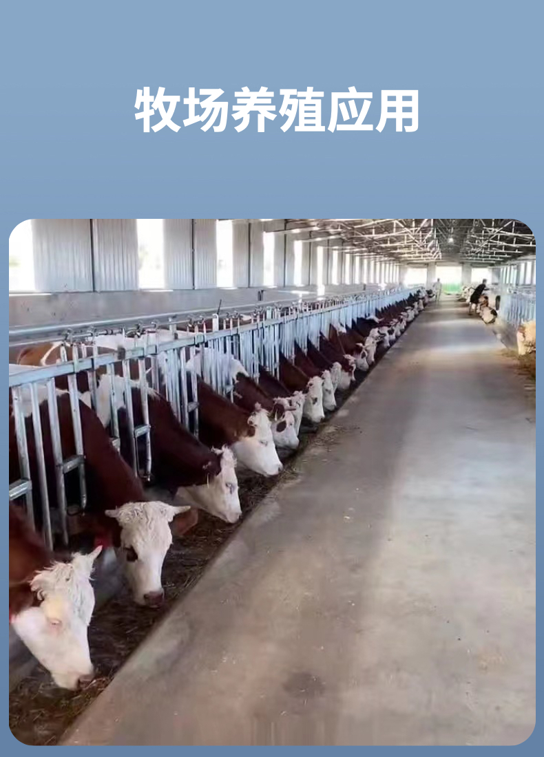 Hot dip galvanized fixed neck yoke for breeding cattle, double open neck yoke for clamping sheep neck yoke for epidemic prevention and breeding