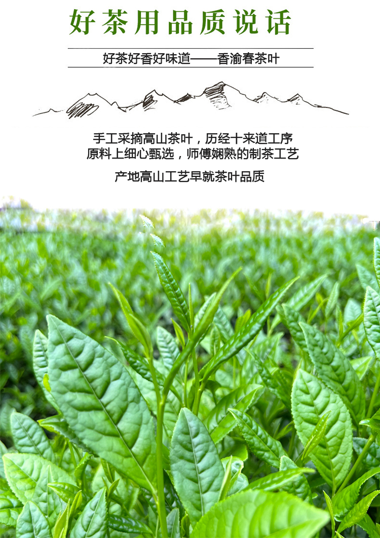 Tianhaoyuan Gaoshan Laobai Tea Tight Press Tea 350G Sunlight Aged Tea Wholesale