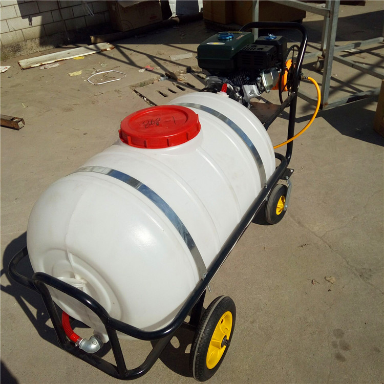 Electric manual sprayer Long range gasoline sprayer Cart type high-pressure spray