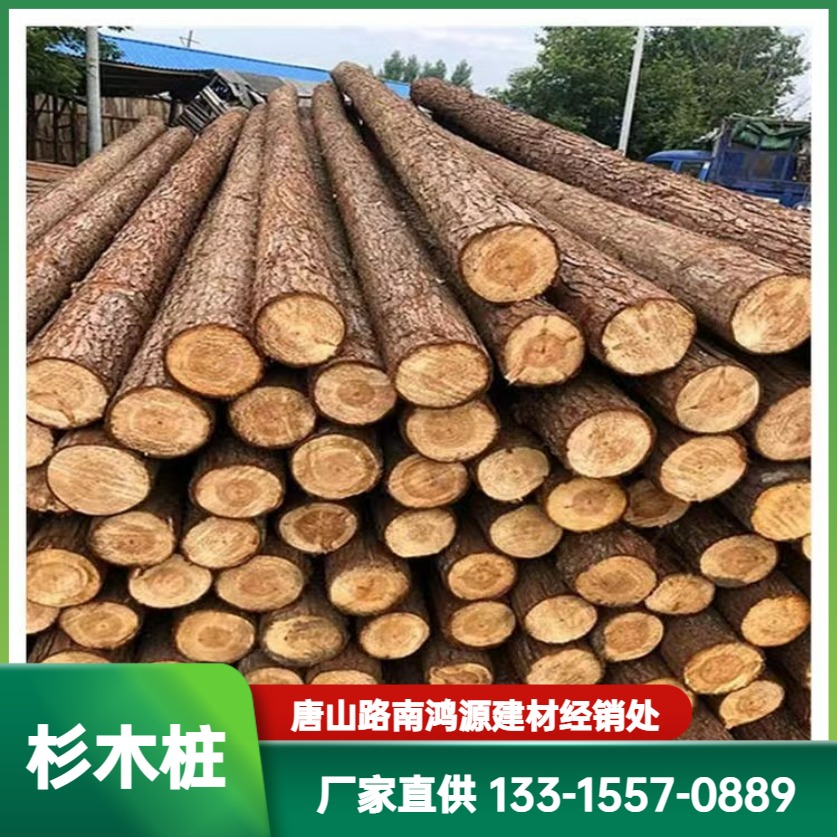 Cunninghamia lanceolata pile, pine pile, riverway piling, wooden slope protection, flood prevention and reinforcement, green support pole, water conservancy project, Hongyuan Building Materials