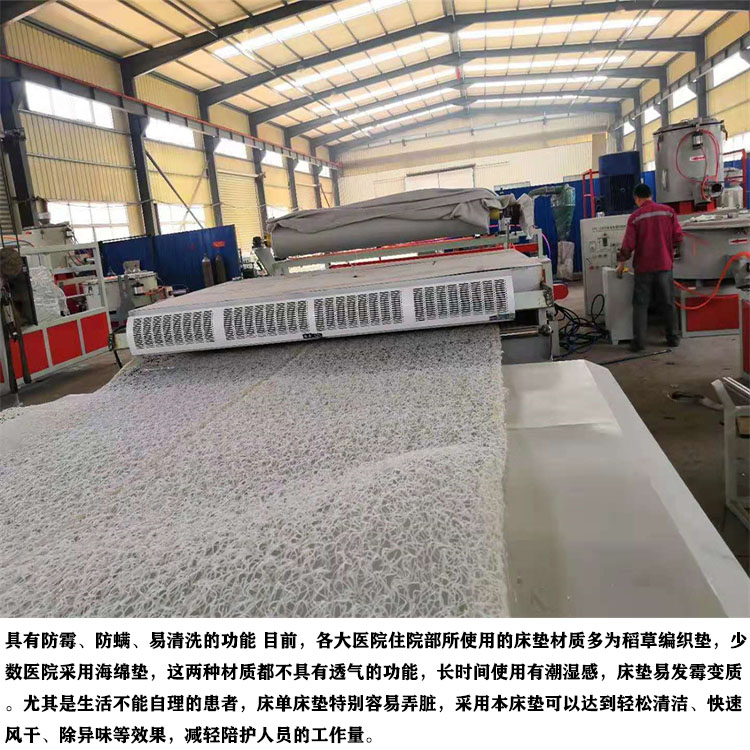 POE/EVA Polymer Mattress Equipment PE Sheet Production Line Newly Produced by Zhongnuo