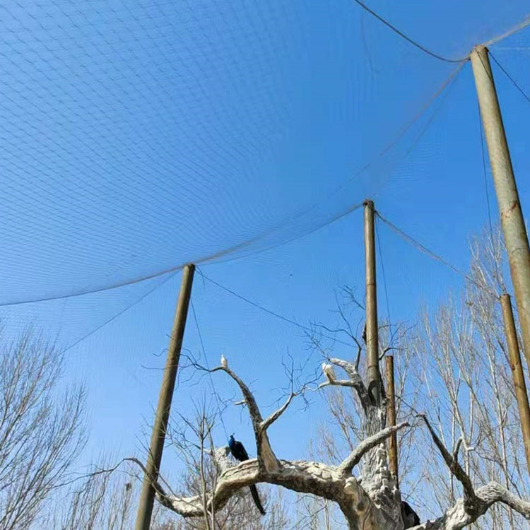 Hengding Animal Breeding Protective Fence Golden Monkey Venue Bird Talk Forest Special 304 Stainless Steel Rope Net Customizable