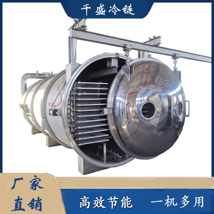 Qiansheng Cold Chain Fully Automatic Fruit and Vegetable Vacuum Freeze Drying Machine Sea Cucumber Freeze Drying Machine Low Temperature Freeze Drying Equipment