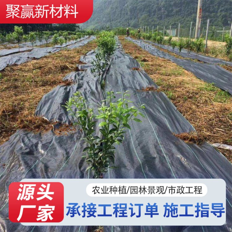 大棚温室蔬菜大棚专用防草布 防潮抑虫透气地布