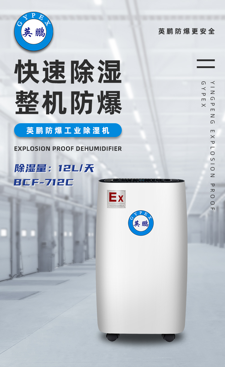 Yingpeng Explosion proof Dehumidifier Industrial Dehumidifier 12L/day BCF-712C