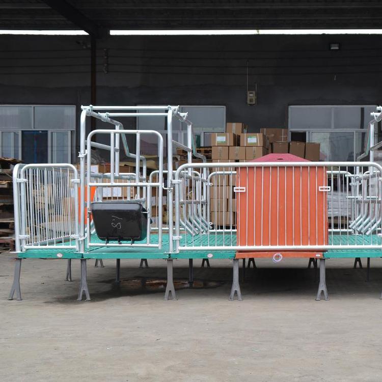 The overall national standard hot-dip galvanized pipe material of the sow production bed is good, with a strong load-bearing capacity of 2200mm × 3600mm Wang Pig Livestock