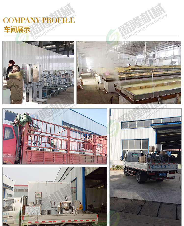 Dried bean curd machine production equipment Full automatic stainless steel dried tofu machine Commercial Shenglong bean product equipment