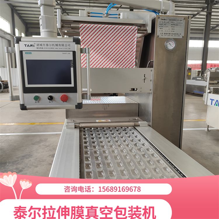 Fully automatic TR-420 continuous stretching film vacuum sealing machine Automatic food vacuum packaging machine