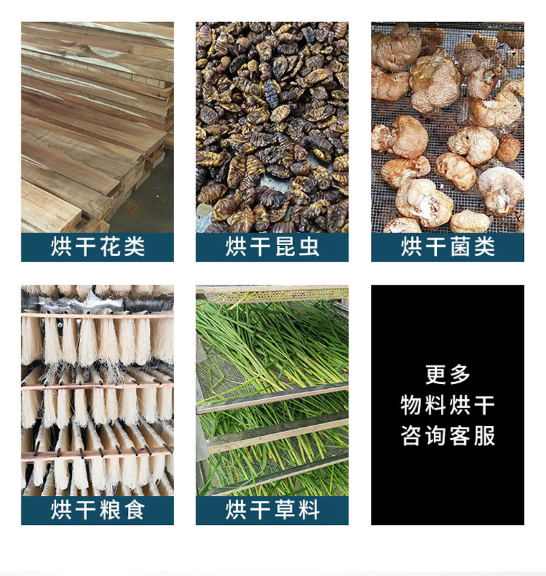 Huazhong Customized Food Drying Machine Large Scale Melon and Fruit Fungus Drying Equipment Asparagus and Carrot Agricultural Product Drying Room