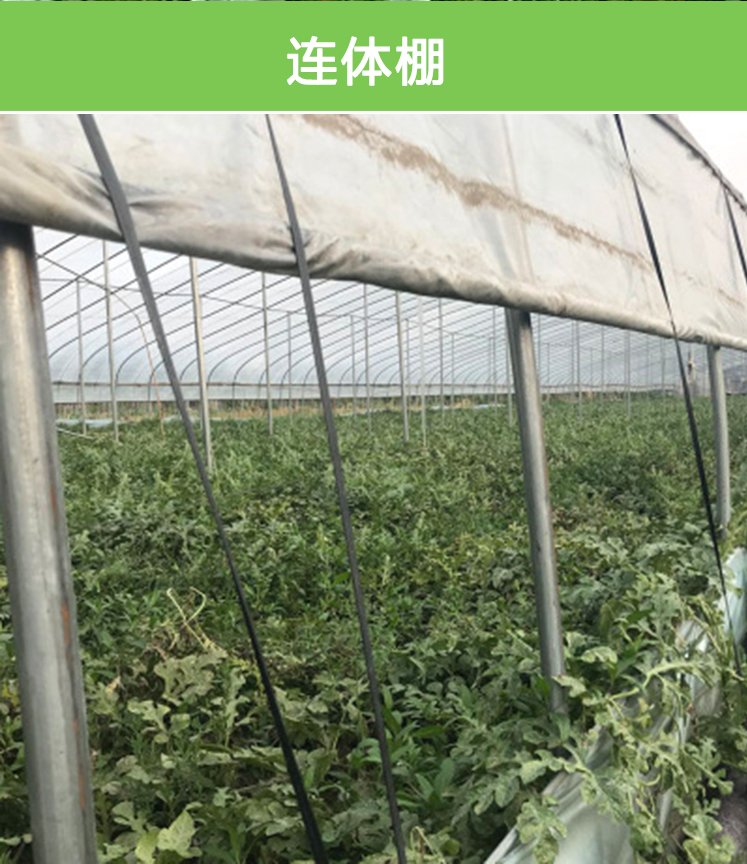 National standard galvanized pipe greenhouse skeleton specifications can be customized for professional construction of circular arch agricultural greenhouse greenhouses