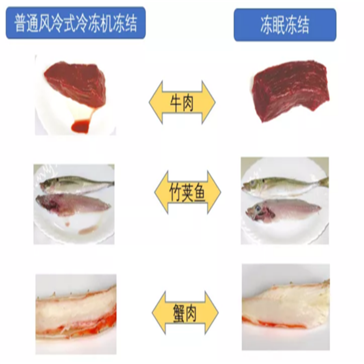 Hot pot ingredient fish tofu quick freezer squid liquid nitrogen freezer new type Tripe quick action equipment