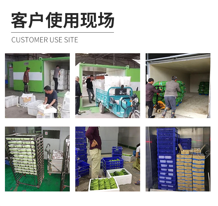 Deren fruit and vegetable cooling vacuum precooler Flammulina velutipes cooling equipment Rapeseed rapid cooling equipment