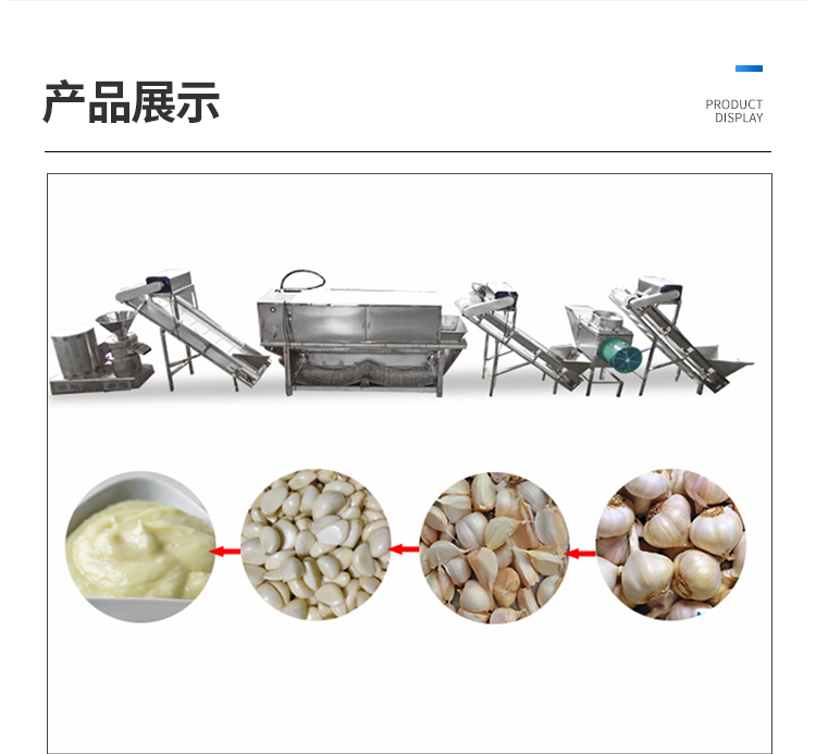 Garlic Peeling Machine Multifunctional Garlic Peeling Machine Stainless Steel Garlic Rice Peeling Machine