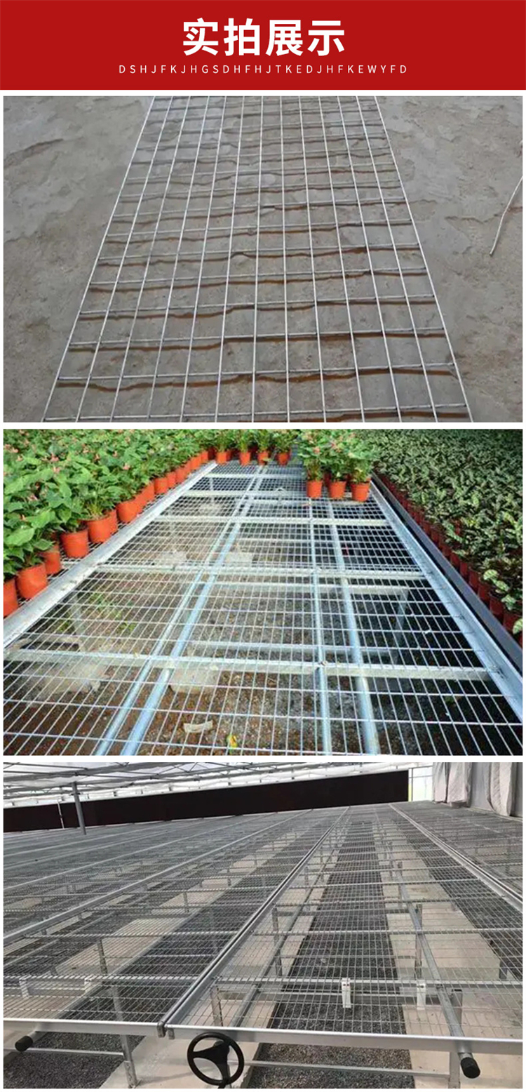 Lin Tai Seedling Bed Net Manufacturer's Indoor Seedling Bed Flower Raising Wire Mesh LT09 Fire Galvanized Mesh for Greenhouse Flower Raising