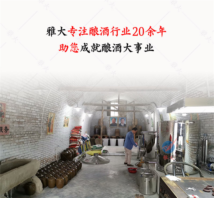 Rural Household Small Electric Heating Brewery Equipment 200 Jin Winery Investment Price