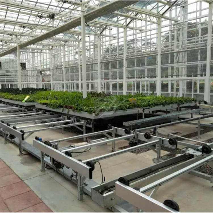 Tailong Flower Seedling Cultivation, Flower Rack Network, Medicinal Material Planting, Corrosion Resistant Seedling Bed Network, Vegetable Galvanized Planting Net Bed Customization