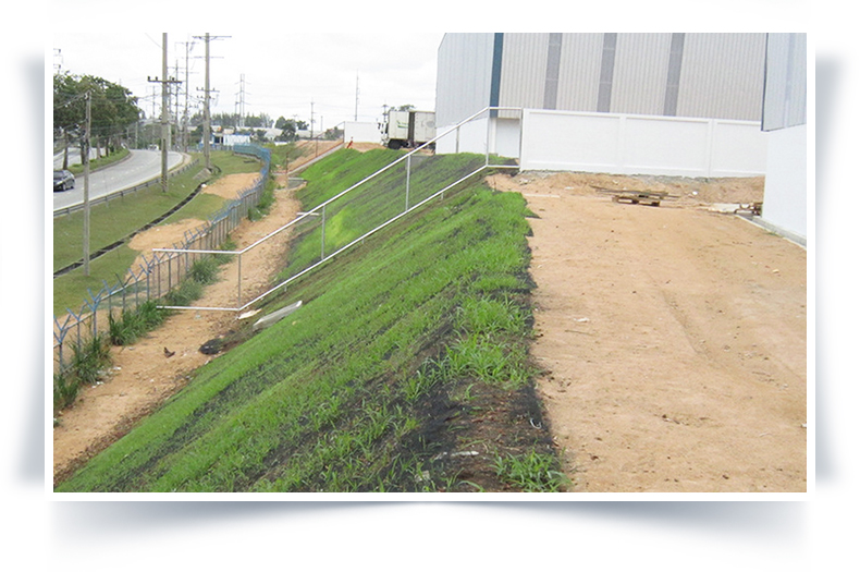 Green Grass Planting Net, Slope Greening, 3D Vegetation Net, Ecological Slope Protection EM2/EM3 Geonet Cushion Geonet