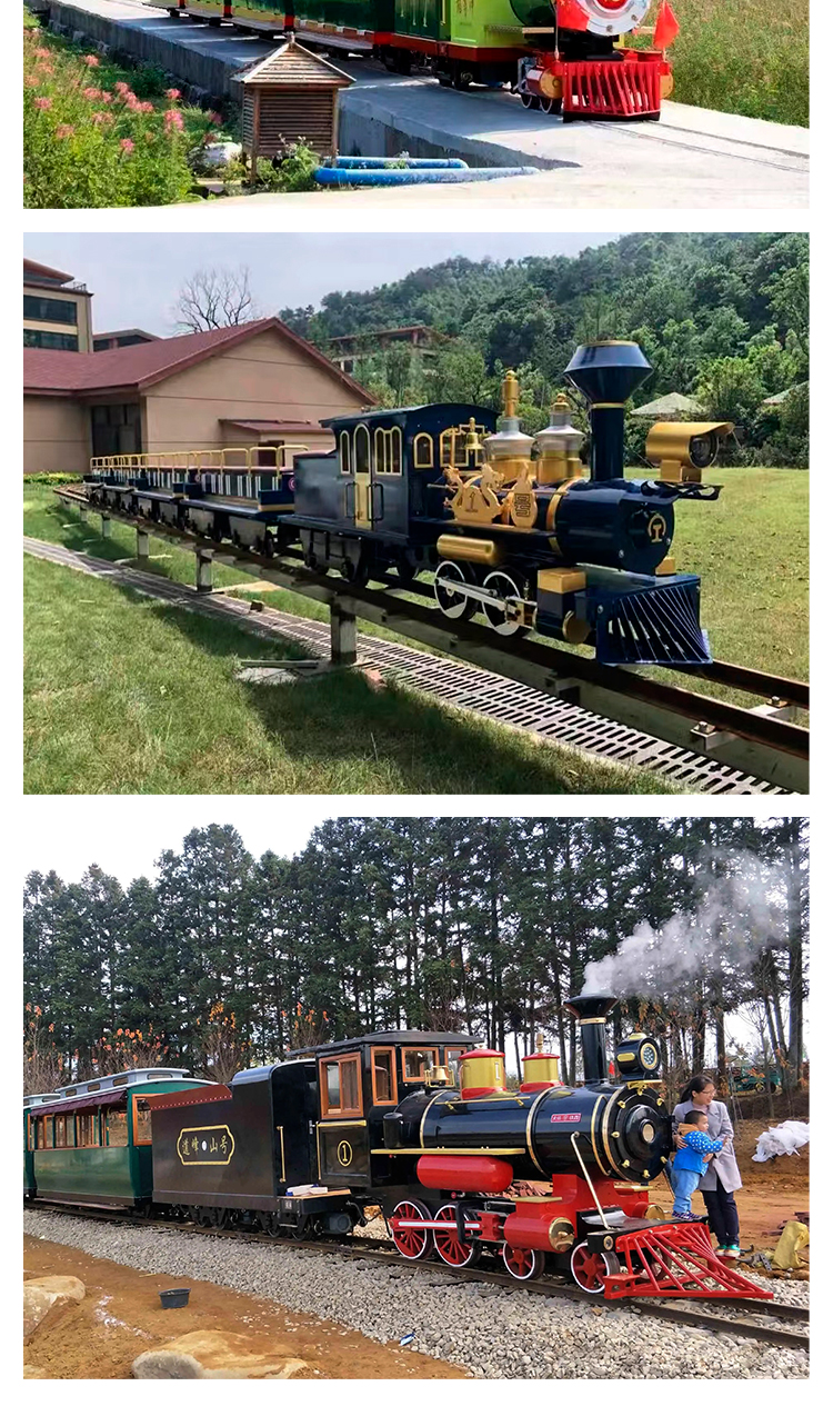 Outdoor internet celebrity train scenic spot, farm flower sea countryside, manned antique track sightseeing, small train amusement equipment