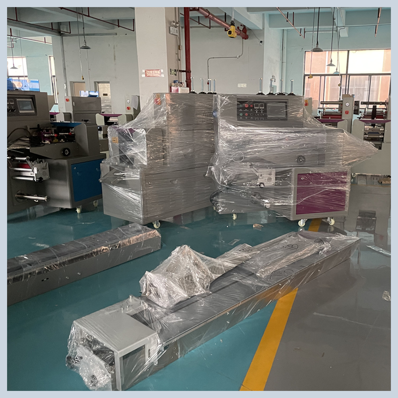 Bosheng Machinery Equipment Bag packed Rice Noodle Packaging Machine Sour and Spicy Powder Pillow Packaging Machine River Noodle Packaging Machine