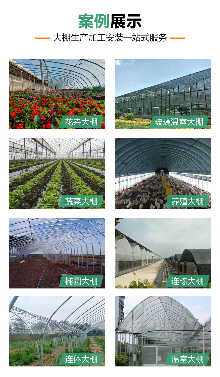 Customized film multi-span greenhouse with large lighting area for fruit and vegetable farming in greenhouses