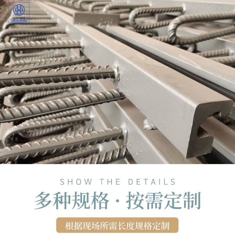 D40 expansion joint GQFE bridge expansion joint device C-type steel beam M60 expansion device