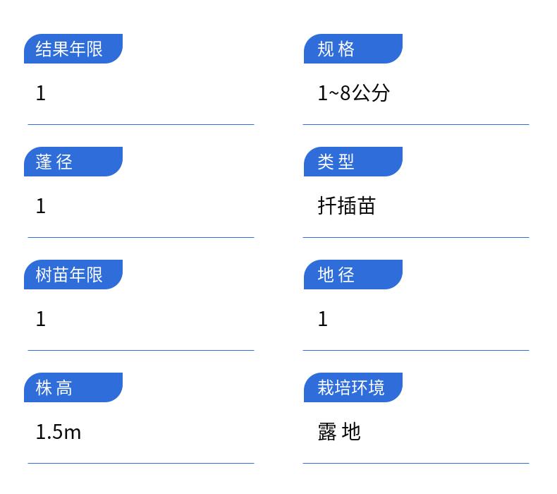 Planting Chinese toon seedlings in greenhouses requires selecting conditions that meet the requirements of a thick stem diameter, a dome, and a well-developed virus free root system