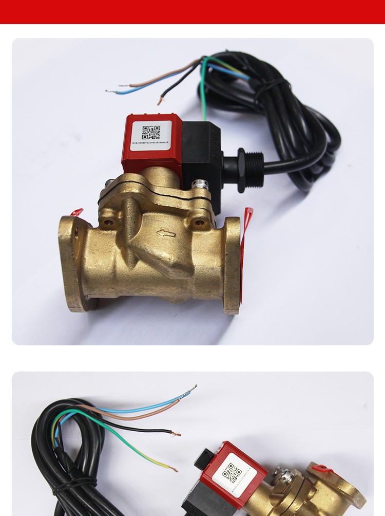 Manufacturer supplied Haosheng accessories Gasoline pump accessories brass casting type double flow solenoid valve flow control valve