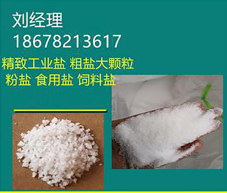 Feishuo Chemical Refined Industrial Salt, Industrial Sodium Chloride Particle Water Treatment and Curing