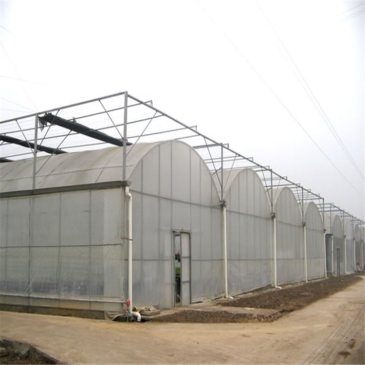 湖北黄冈麻城连栋大棚配件名称蔬菜大棚管橘子连体大棚市场报价