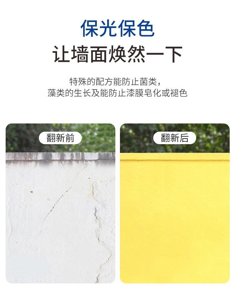 High Chlorinated Polyethylene Iron Red Primer Qilu Paint Industry Anti rust Paint Chemical Equipment Paint