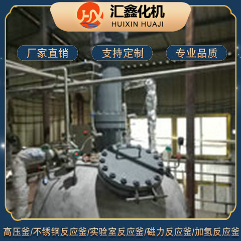 Magnetic transmission static sealing device for the 2000-liter high-temperature hydrogenation reactor of Huixin Chemical Machine