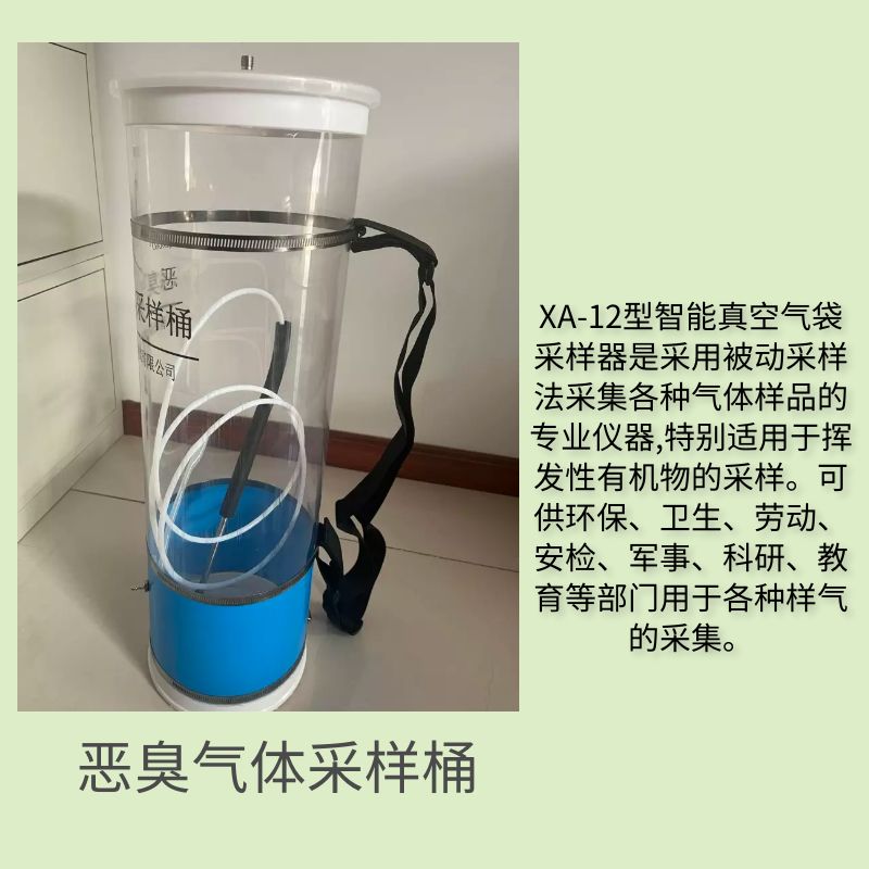 Portable odor gas sampler for detecting fixed pollution sources in air bags