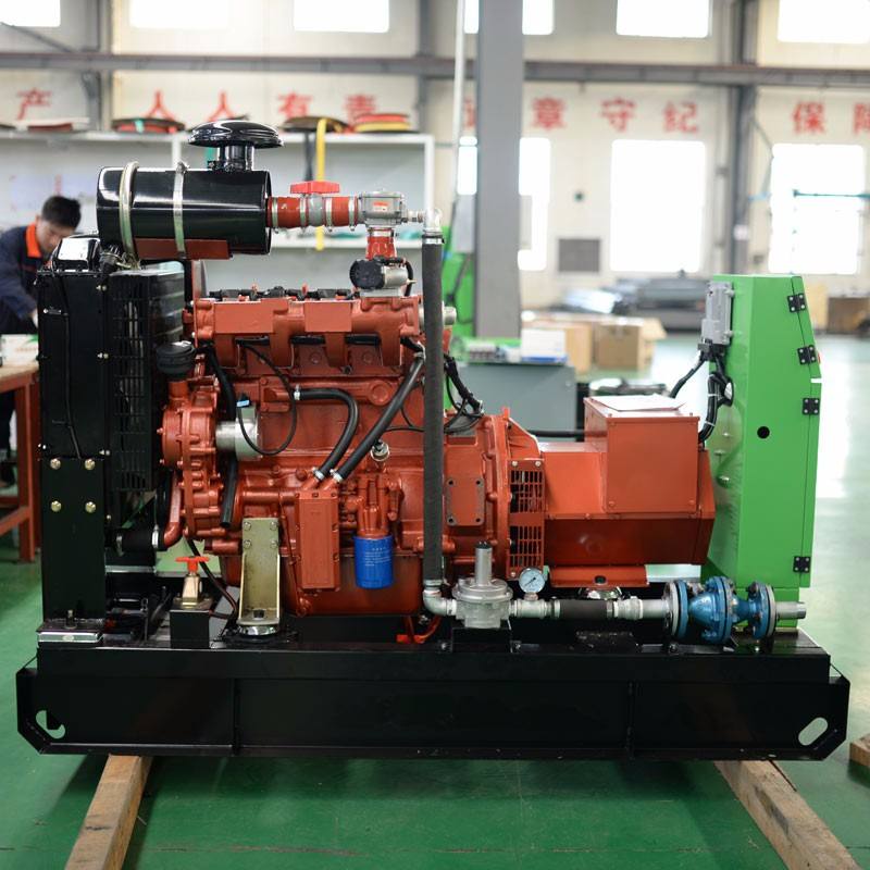 Blue light 100 kW biogas generator set, 100 kW natural gas generator, pure copper motor