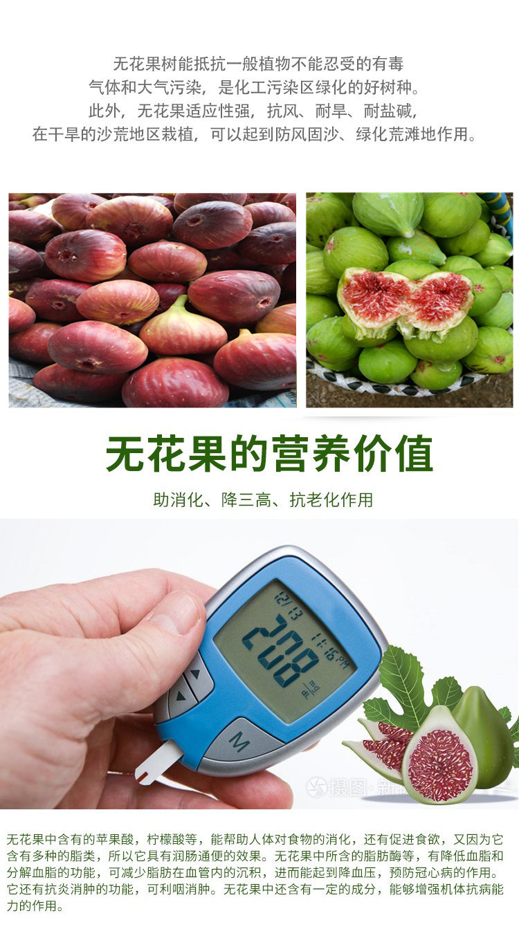 Five-year High Yield Discussion on the Planting Results of Japanese Purple Fruit Seedlings