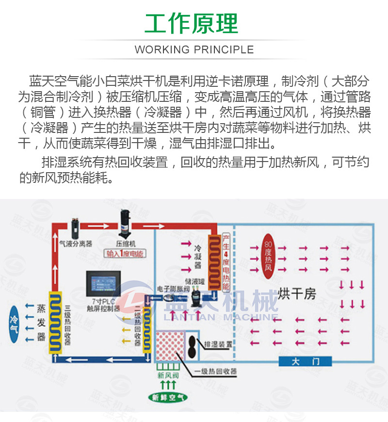 Small rapeseed dryer multifunctional green stem vegetable dehydration dryer large air energy vegetable stem drying room equipment