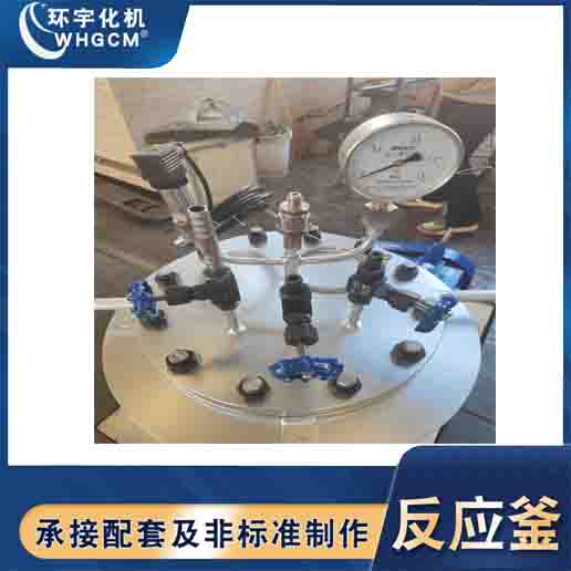 GSH-20L electrically heated carbonized stainless steel reactor for customized laboratory use in Huanyu