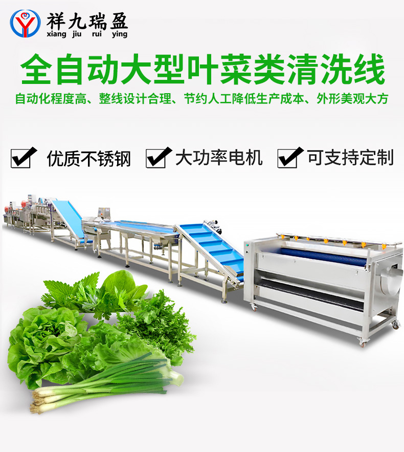 Central Kitchen Prefabricated Vegetable Processing Line Leaf Vegetable, Hair Vegetable Cleaning Line Vegetable, Fruit, and Clean Vegetable Production Line Plan