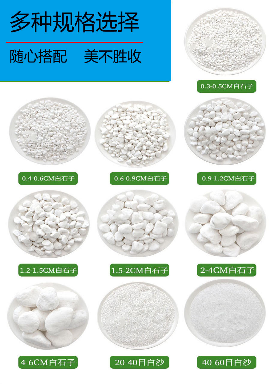 White pebbles 2-4mm with succulent paving for courtyard landscaping, white pebbles for garden landscape