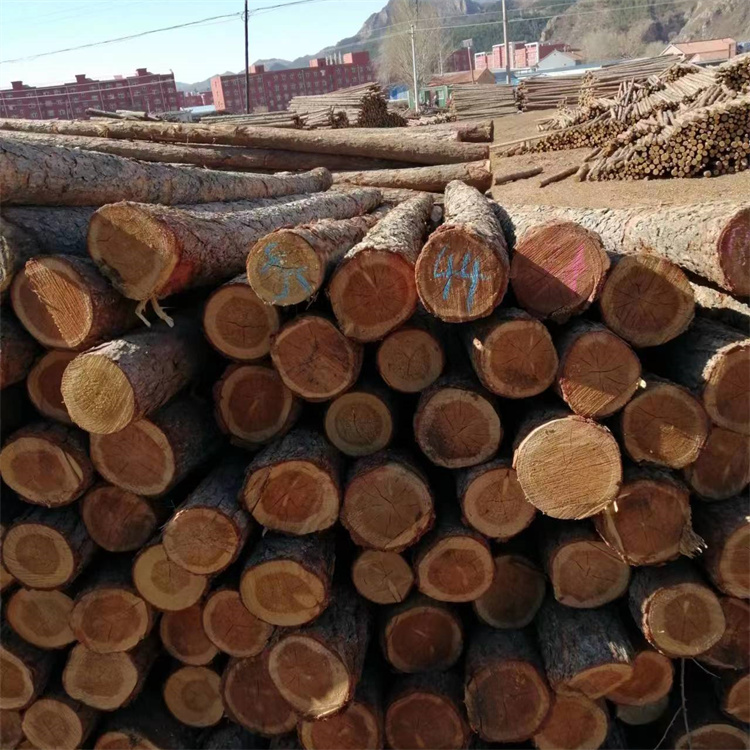 River flood prevention, pine stakes, landscaping engineering, green building, ground retaining, civil engineering, pile, cedar pole, round wood, Hongyuan Building Materials