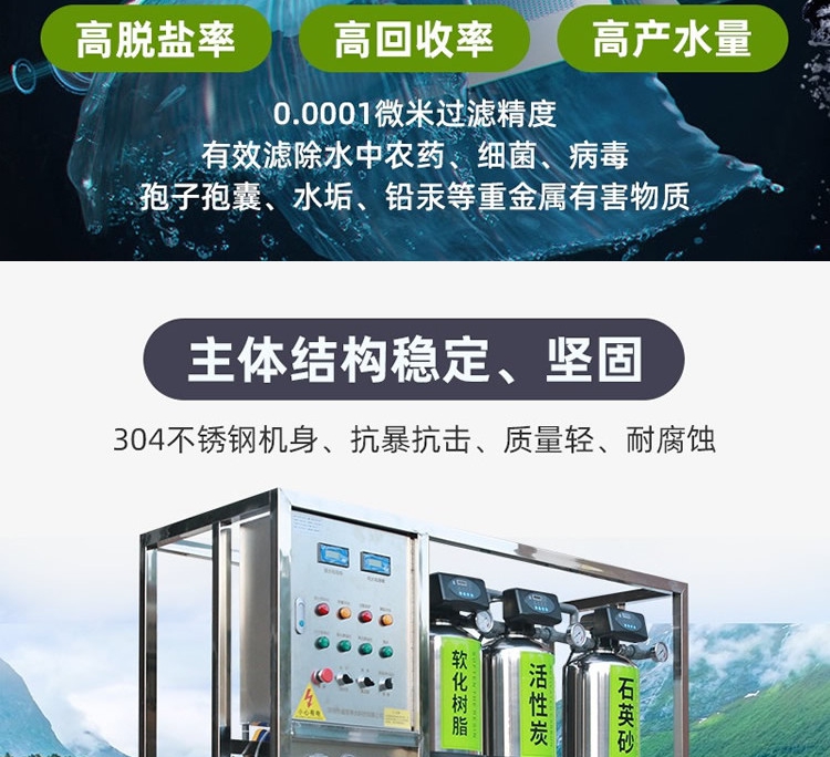0.5 ton Ultrapure water equipment Tap water RO water treatment equipment Industrial water purification system Pure water equipment