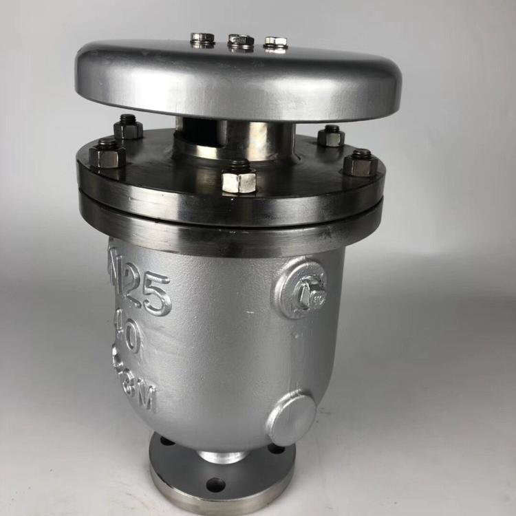 Xinhong Valve High Flow Combination Exhaust Valve GWP Quick Exhaust Flange Stainless Steel Outlet