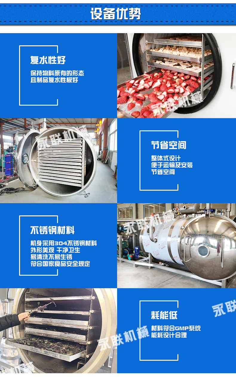 Yonglian DG-6 flowerless fruit freeze-drying machine Kiwi vacuum freeze-drying equipment Low temperature drying equipment