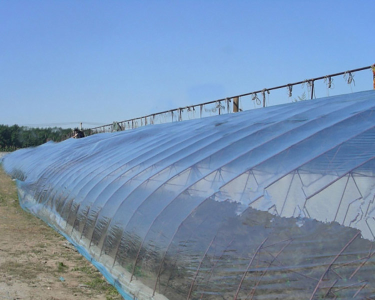 Shuaifeng multifunctional PO greenhouse film, crystal PO film, waterproof and sunscreen manufacturer, directly supplied for production and wholesale of plastic film